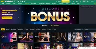 BetWinner Login Everything You Need to Know