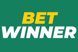 BetWinner Login Everything You Need to Know