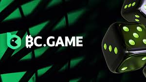 Understanding the BC.Game Mirror Login Process -608165714