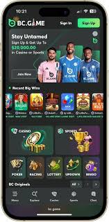 Understanding the BC.Game Mirror Login Process -608165714