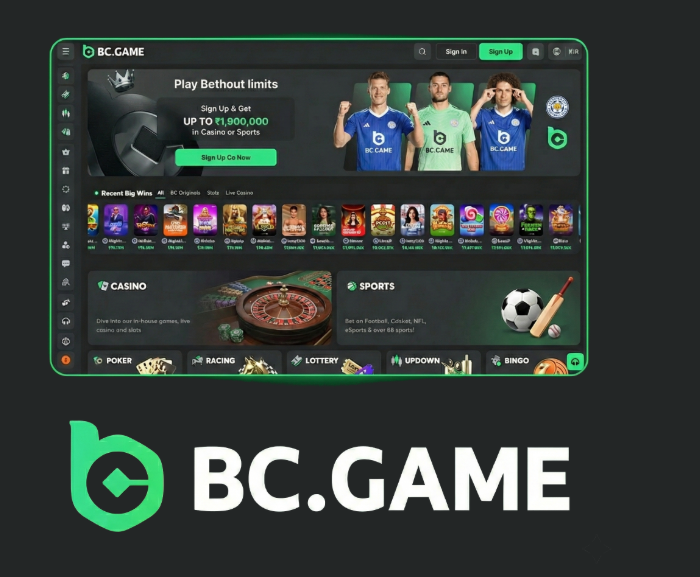How to Successfully Navigate the BC.Game Registration Process -214405151
